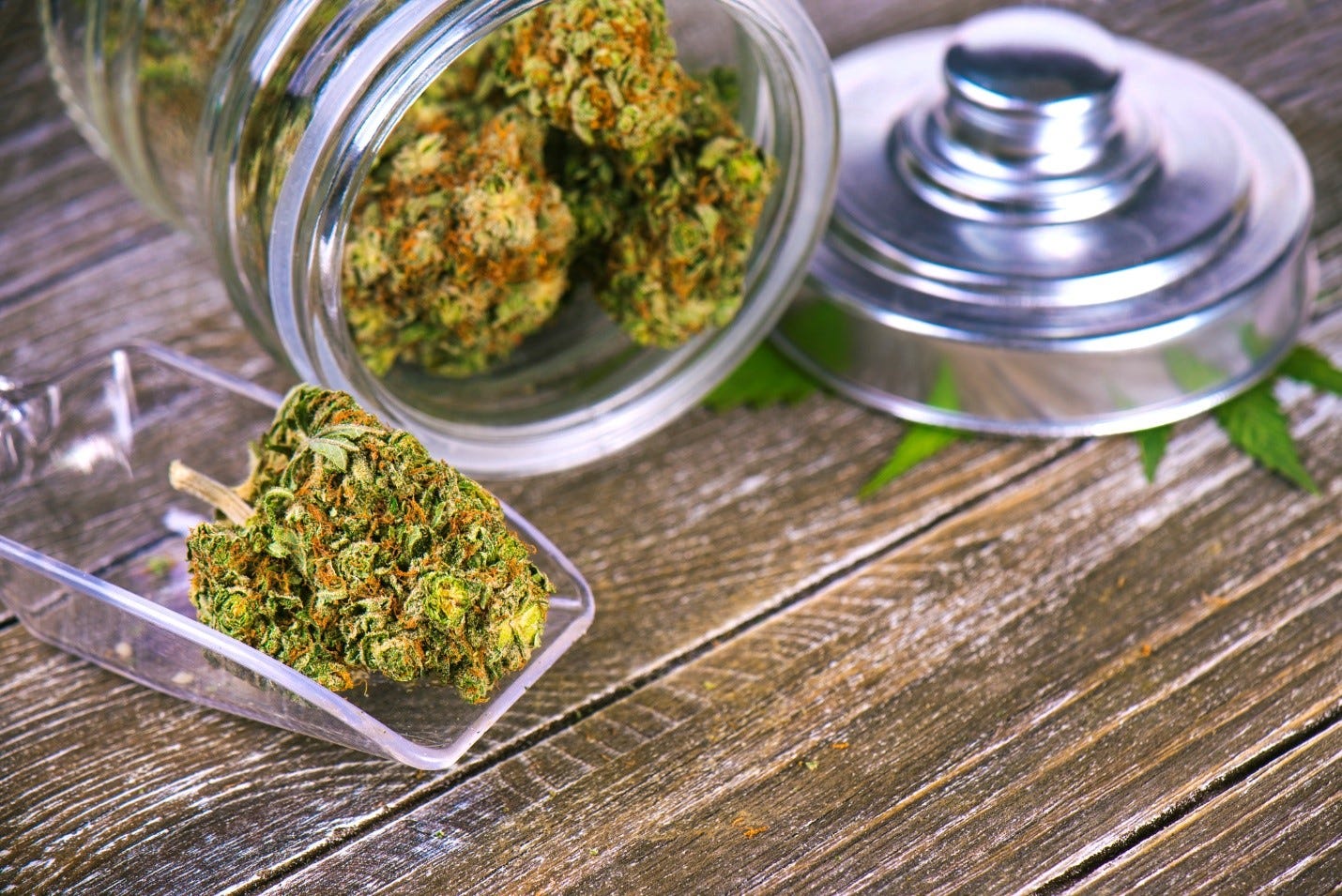 Using A Fake Id At A Dispensary In Dc